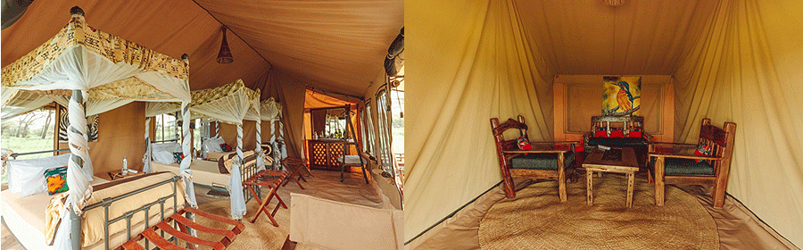 serengeti-gnu-mara-camp Gnu Ndutu Migration Camp Serengeti Tanzania