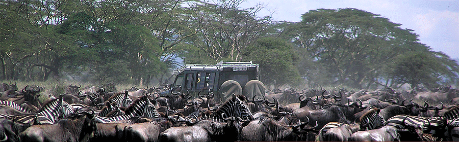 serengeti-national-park Kenya & Tanzania Luxury Safaris
