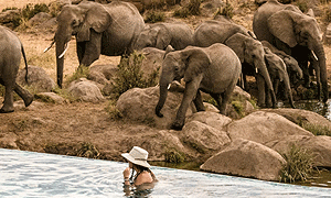 4 Days 3 Nights Serengeti National Park Tanzania Safari (Driving) From Arusha
