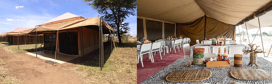 serengeti-wild-camp Serengeti Wild camp
