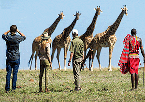 SPECIAL INTEREST SAFARIS