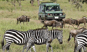 8 Days 7 Nights Tanzania Flying-in Safaris