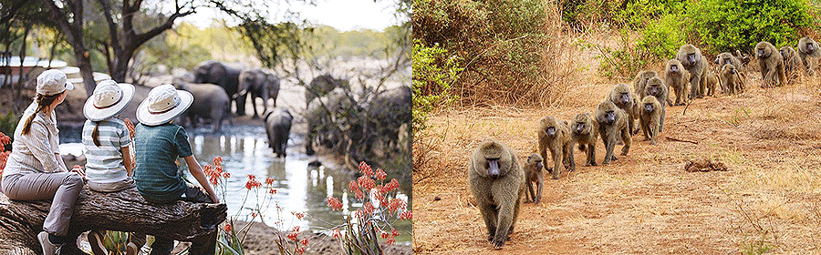 tanzania-flying-tours-trips Tanzania Flying Safaris