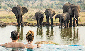 6 Days 5 Night Tanzania Safari Tours & Holidays