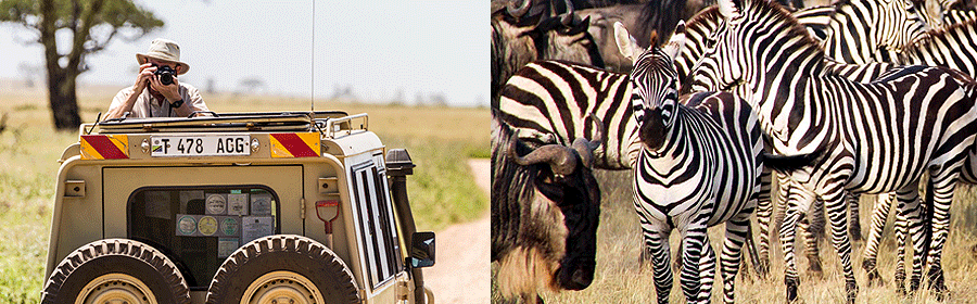 tanzania-safaris-holidays Tanzania safaris