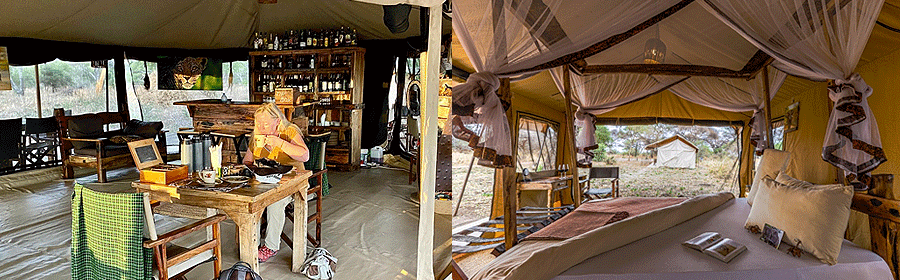 tarangire-baobab-camp Baobab Tented Camp Tarangire National Park