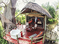 Tarangire River Camp – Tarangire National Park