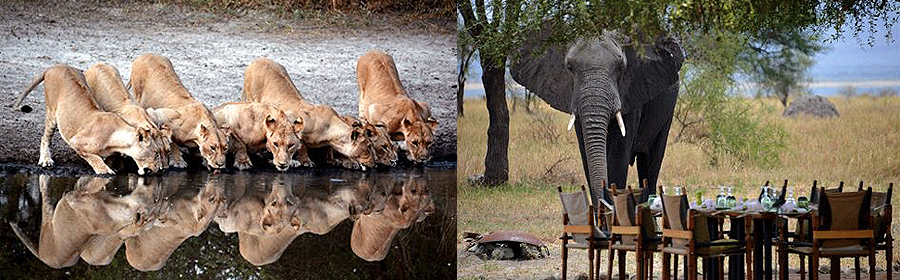 tarangire-tanzania Tarangire National park