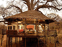 Tarangire Treetops Tarangire Conservancy – Tarangire National Park