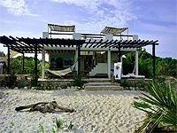 The Slow Leopard Kilwa - Kilwa Masoko