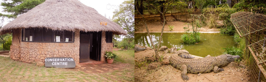 thika-blue-post-hotel Blue Posts Hotel Museum