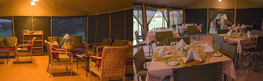 thorn-tree-camp-serengeti ThornTree Camp Serengeti National Park