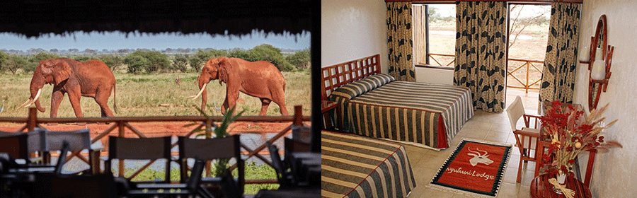 tsavo-east-ngutuni-lodge Ngutuni Safari Lodge