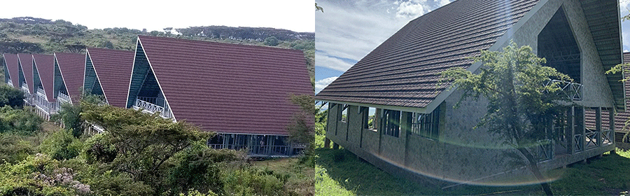 tsn-ngorongoro-lodges TNS Ngorongoro Lodge Tanzania