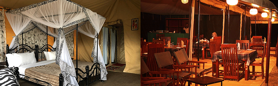 tukaone-serengeti-camp Tukaone Serengeti Camp Tanzania