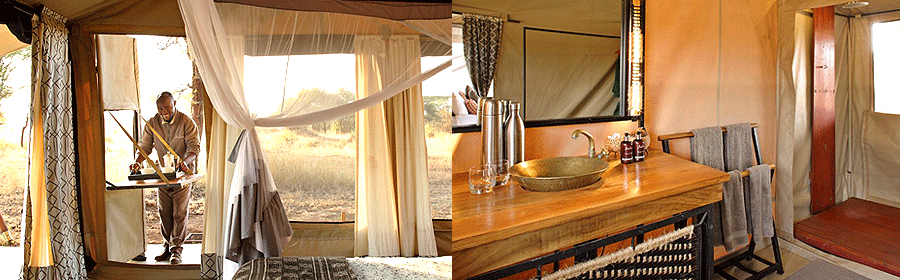 ubuntu-camp-serengeti Ubuntu Migration Camp Serengeti Tanzania