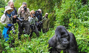 Uganda Road Safaris, Tours & Trips