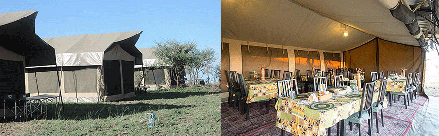 wildebees-serengeti-camp Serengeti Wildebeest Camp Tanzania