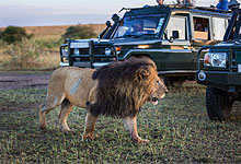 5 Days 4 Nights Kenya Safaris by road