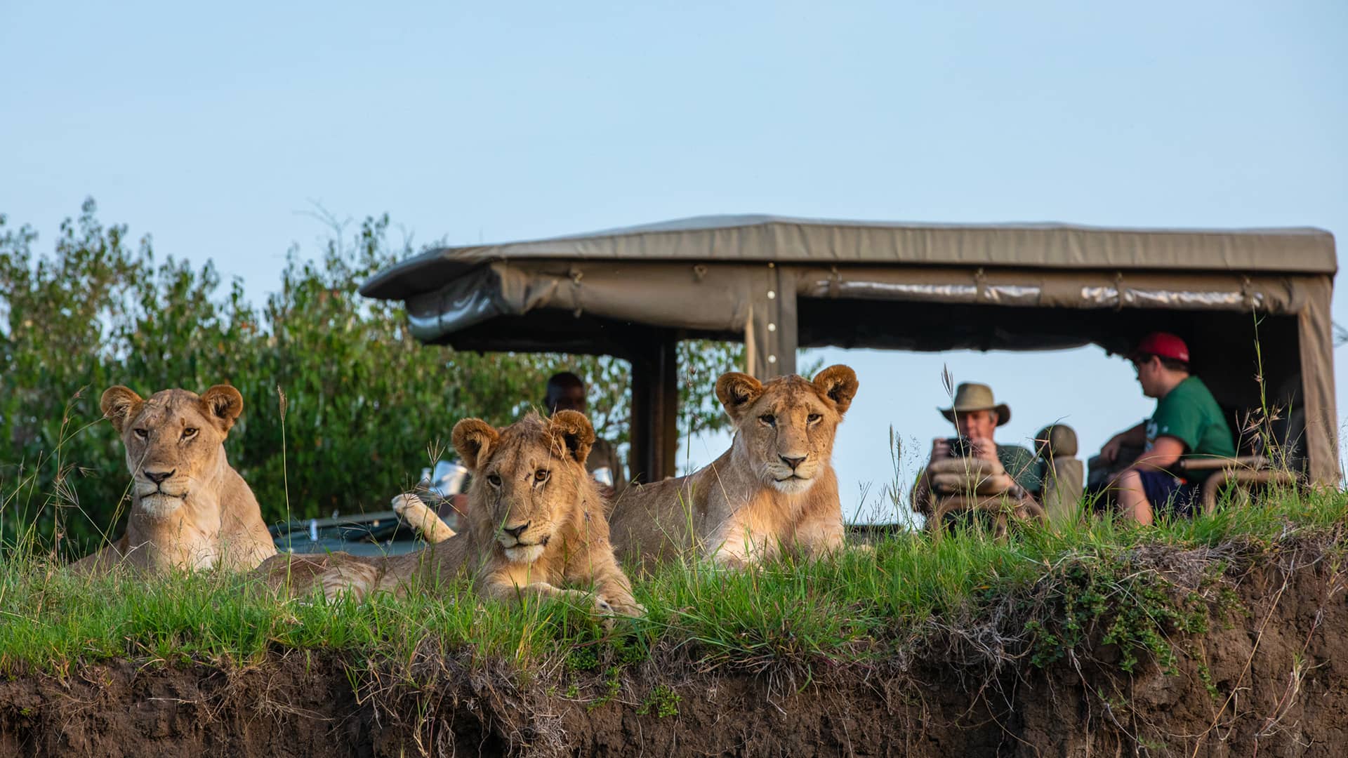 African Luxury Safaris