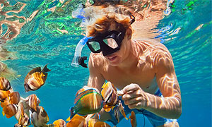 Zanzibar Wildlife Conservancies