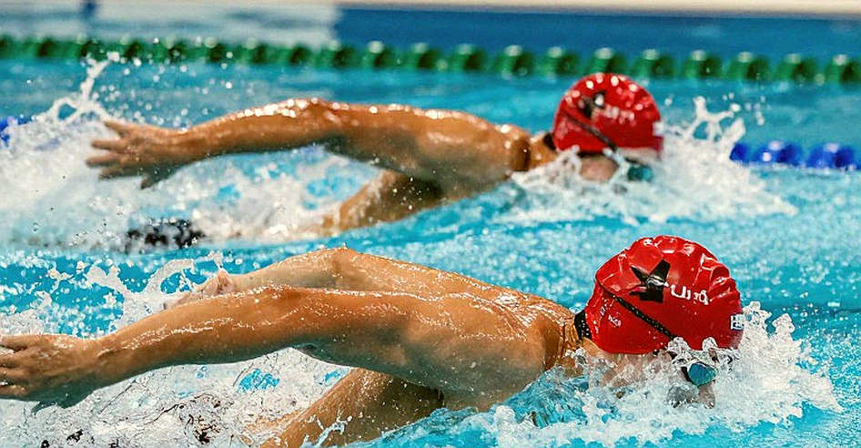 The Swimming Data Ledger: What Surfaces When the Input Is Empty The Swimming Data Ledger: What Surfaces When the Input Is Empty