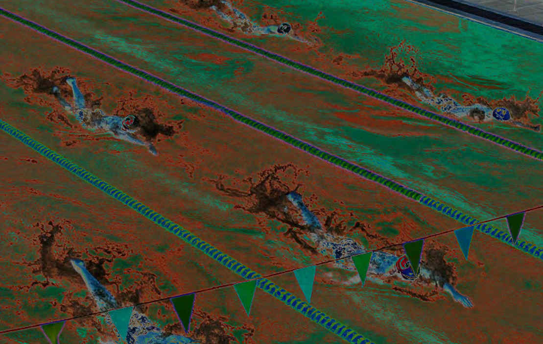 The Swimming Data Ledger: What Surfaces When the Input Is Empty The Swimming Data Ledger: What Surfaces When the Input Is Empty