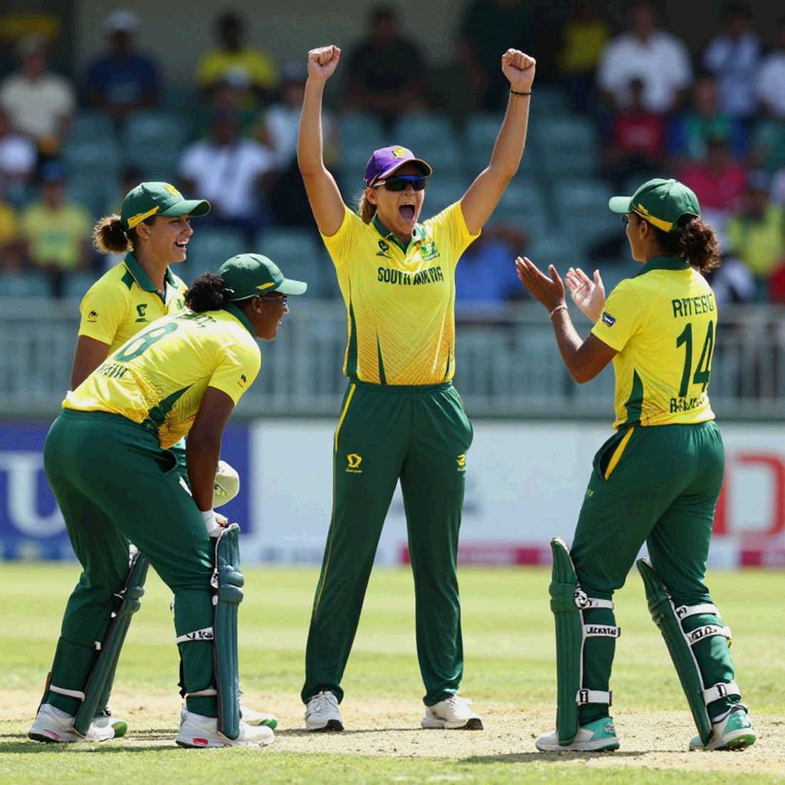 Empty Data Is Itself a Signal: The Eight Layers of Cricket Analysis and a Lesson in Discipline